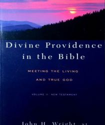 DIVINE PROVIDENCE IN THE BIBLE MEETING THE LIVING AND TRUE GOD